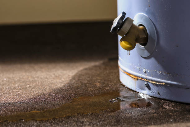 Best Ceiling water damage repair  in Manitou Springs, CO