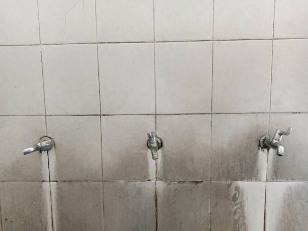 Best Water damage restoration near me  in Manitou Springs, CO